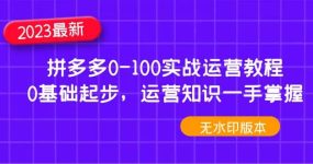 2023拼多多0-100实战运营教程，0基础起步，运营知识一手掌握（无水印）