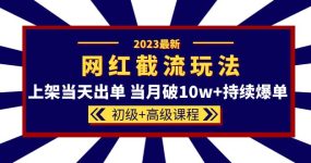 2023网红·同款截流玩法【初级+高级课程】上架当天出单 当月破10w+持续爆单