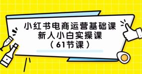 小红书电商运营基础课，新人小白实操课（61节课）