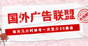 外面收费1980最新国外LEAD广告联盟搬砖项目，单号一天至少30美元(详细教程)