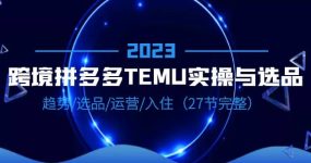 2023跨境·拼多多·TEMU实操与选品，趋势·选品·运营·入住（27节完整）