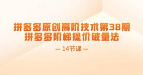 拼多多原创高阶技术第38期，拼多多阶梯提价破量法（14节课）