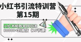 小红书引流特训营-第15期，小红书矩阵号月引流80000+到微信（10节课）