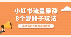 小红书流量-暴涨8个野路子玩法：小红书新人快速流量破局（8节课）