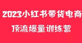 小红书电商爆量训练营，月入3W+！可复制的独家养生花茶系列玩法