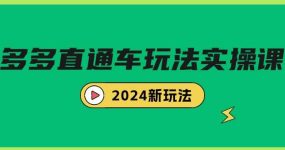多多直通车玩法实战课，2024新玩法（7节课）