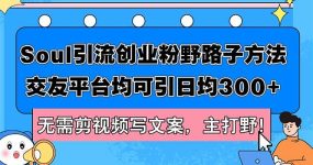 Soul引流创业粉野路子方法，交友平台均可引日均300+，无需剪视频写文案…