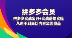 拼多多 会员，拼多多实战宝典+实战落地实操，从新手到高阶内容全面覆盖