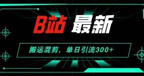 B站最新，搬运混剪，单日引流300+创业粉