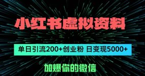 小红书虚拟资料日引流200+创业粉，单日变现5000+