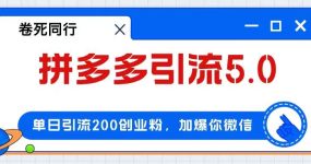 拼多多引流付费创业粉，单日引流200+，日入4000+