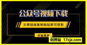 公众号视频下载(Windows)